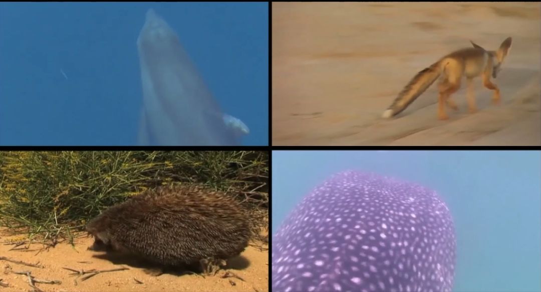 尊时凯龙·Z6(中国区)人生就是拼搏!