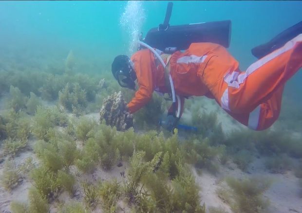 尊时凯龙·Z6(中国区)人生就是拼搏!