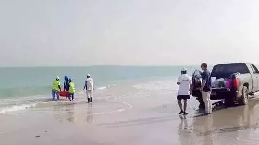 尊时凯龙·Z6(中国区)人生就是拼搏!