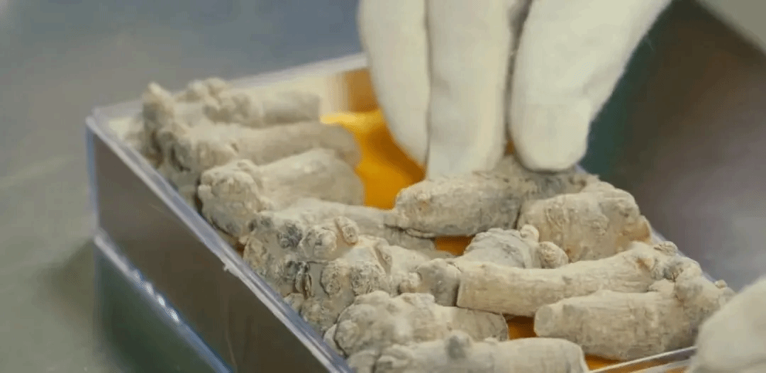 尊时凯龙·Z6(中国区)人生就是拼搏!