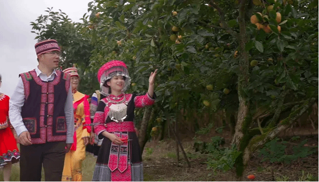 尊时凯龙·Z6(中国区)人生就是拼搏!