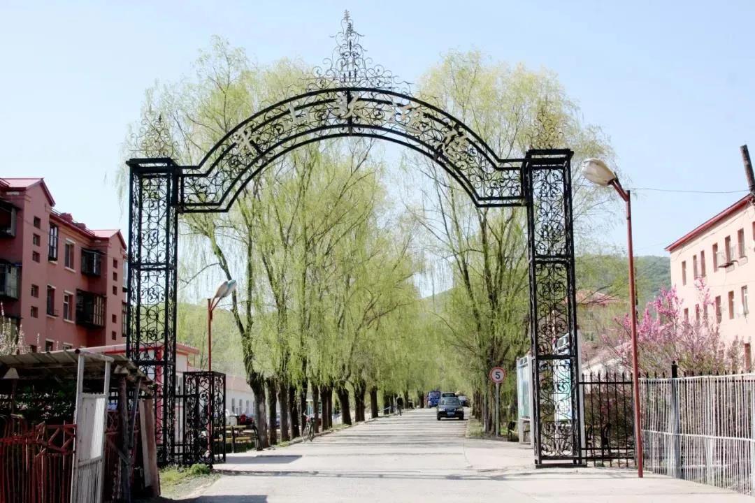 尊时凯龙·Z6(中国区)人生就是拼搏!