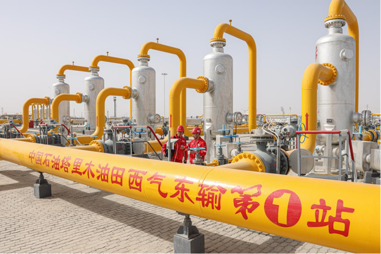 尊时凯龙·Z6(中国区)人生就是拼搏!